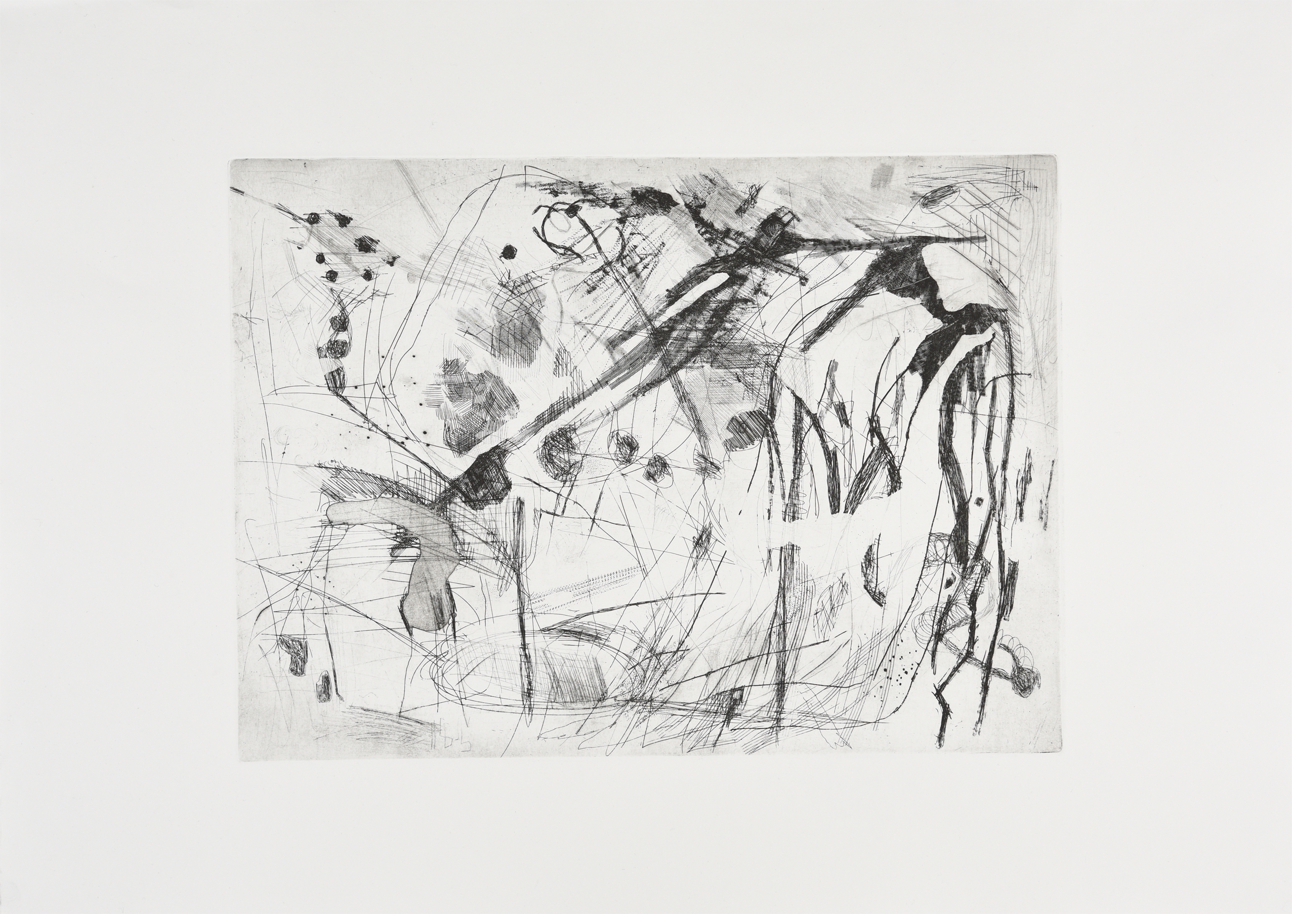 Etching (2017), 42 x 30cm