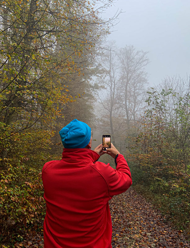 DER WALD IST MEIN RÜCKZUGSORT  von Tessa Morshuis
