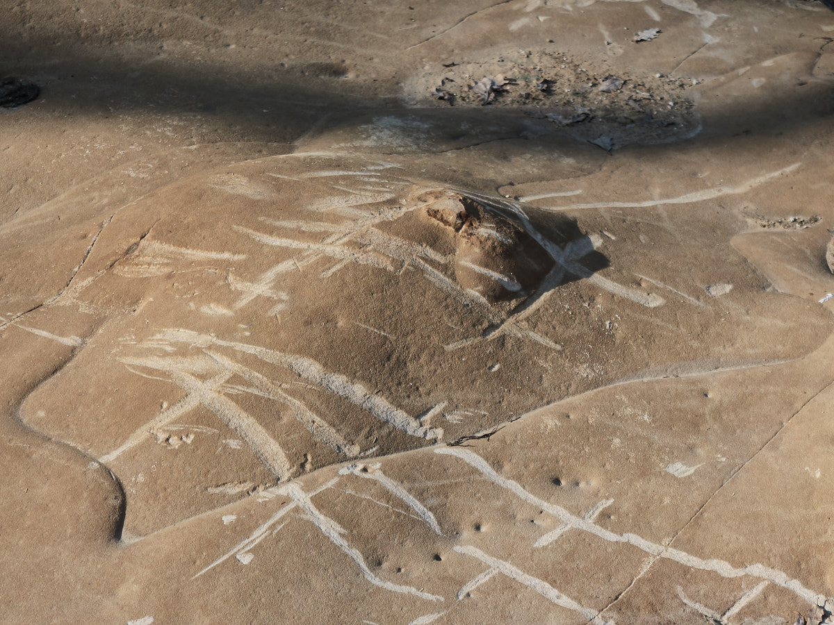 La surface du terrain est déblayée à la pioche et nettoyée méticuleusement