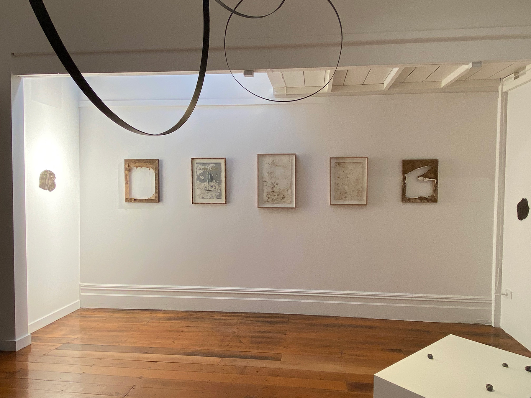 Companion Pieces / Paper Offered To A Snail Farm / Installation Image / 2021