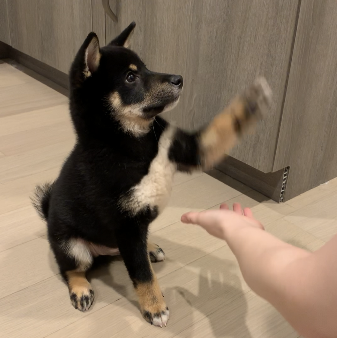 402 Payment Required