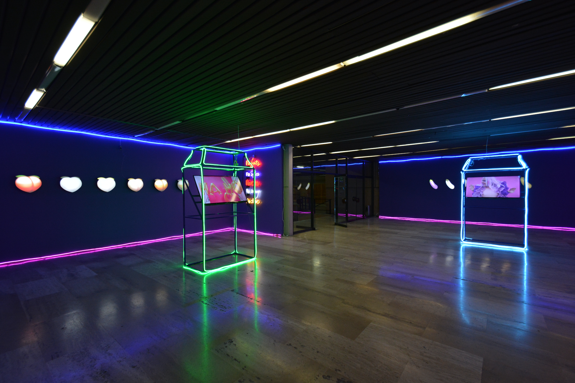 MASC4mascara, Installation view, CECUT, 2019