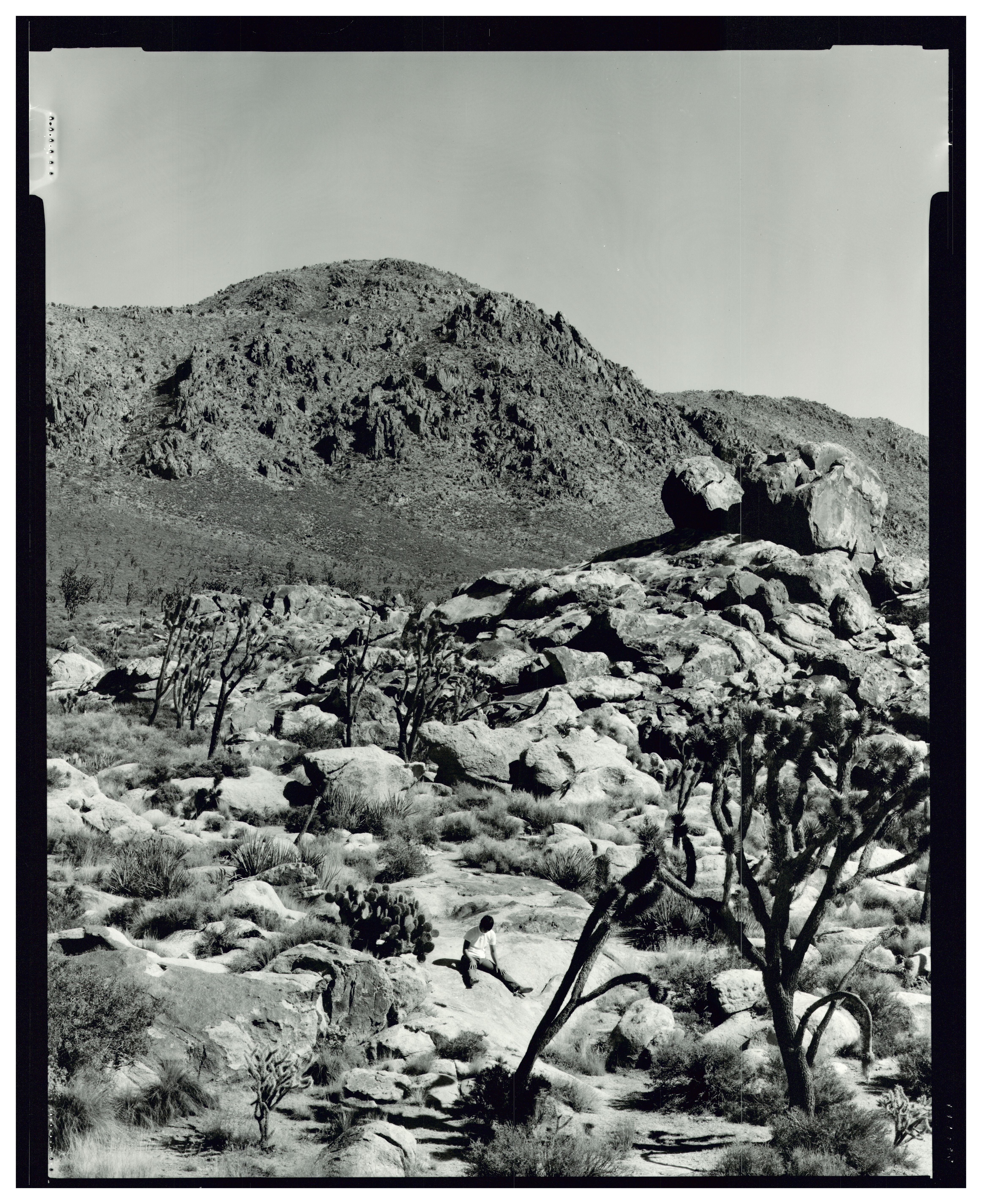 Ethereal, Otherworldly Visions, 2014Pearl resin-coated paperEdition of 6 plus 4 AP14.98 x 18.47 in.38.05 x 46.91 cm