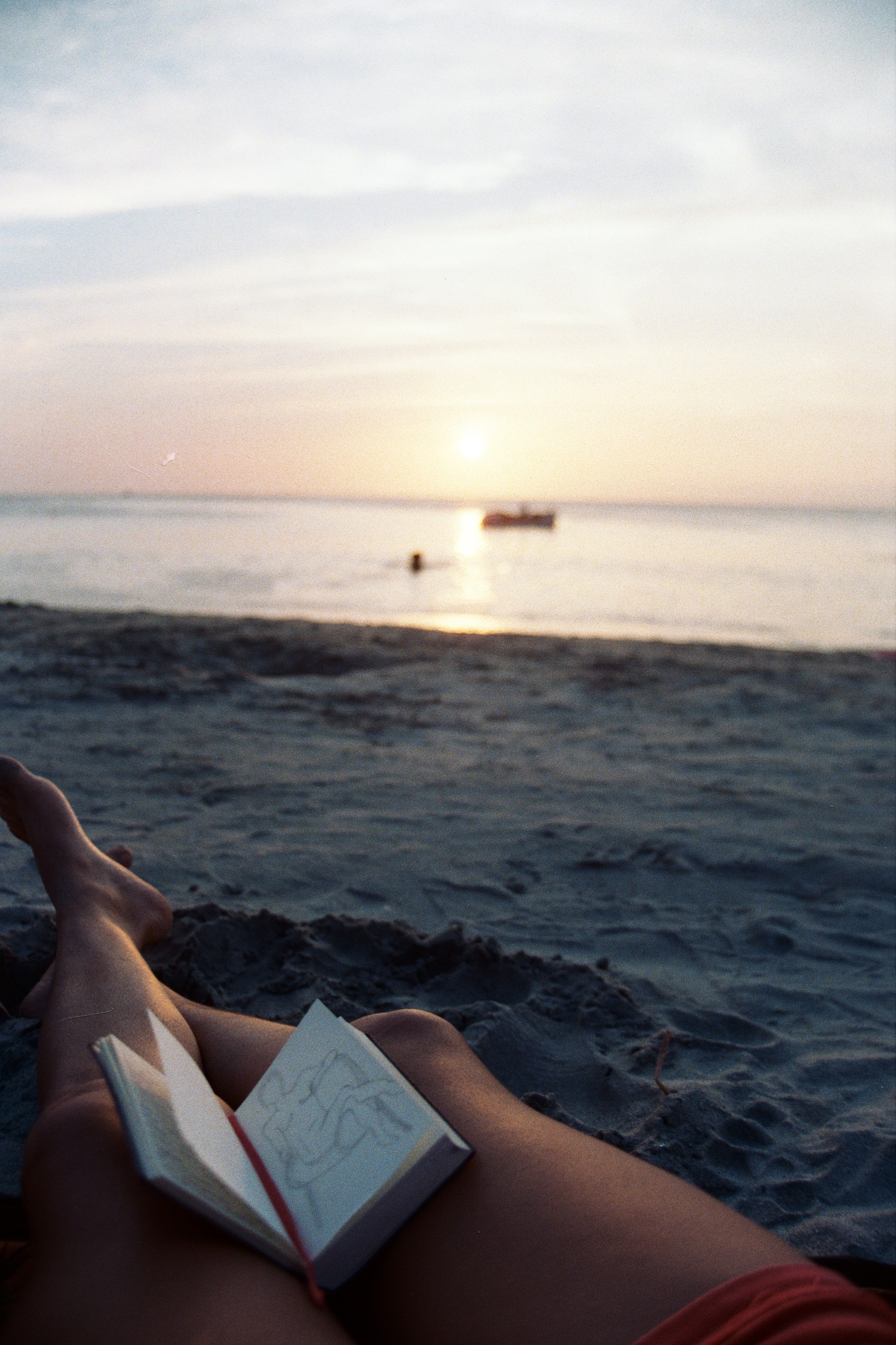 Analog Photography, 2017