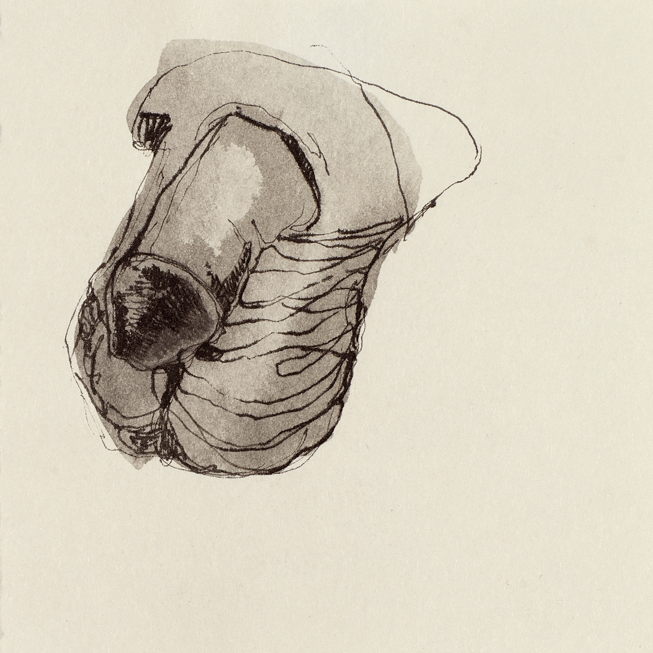 Dik il-Qtajra 5 (from Dik il-Qtajra series) A