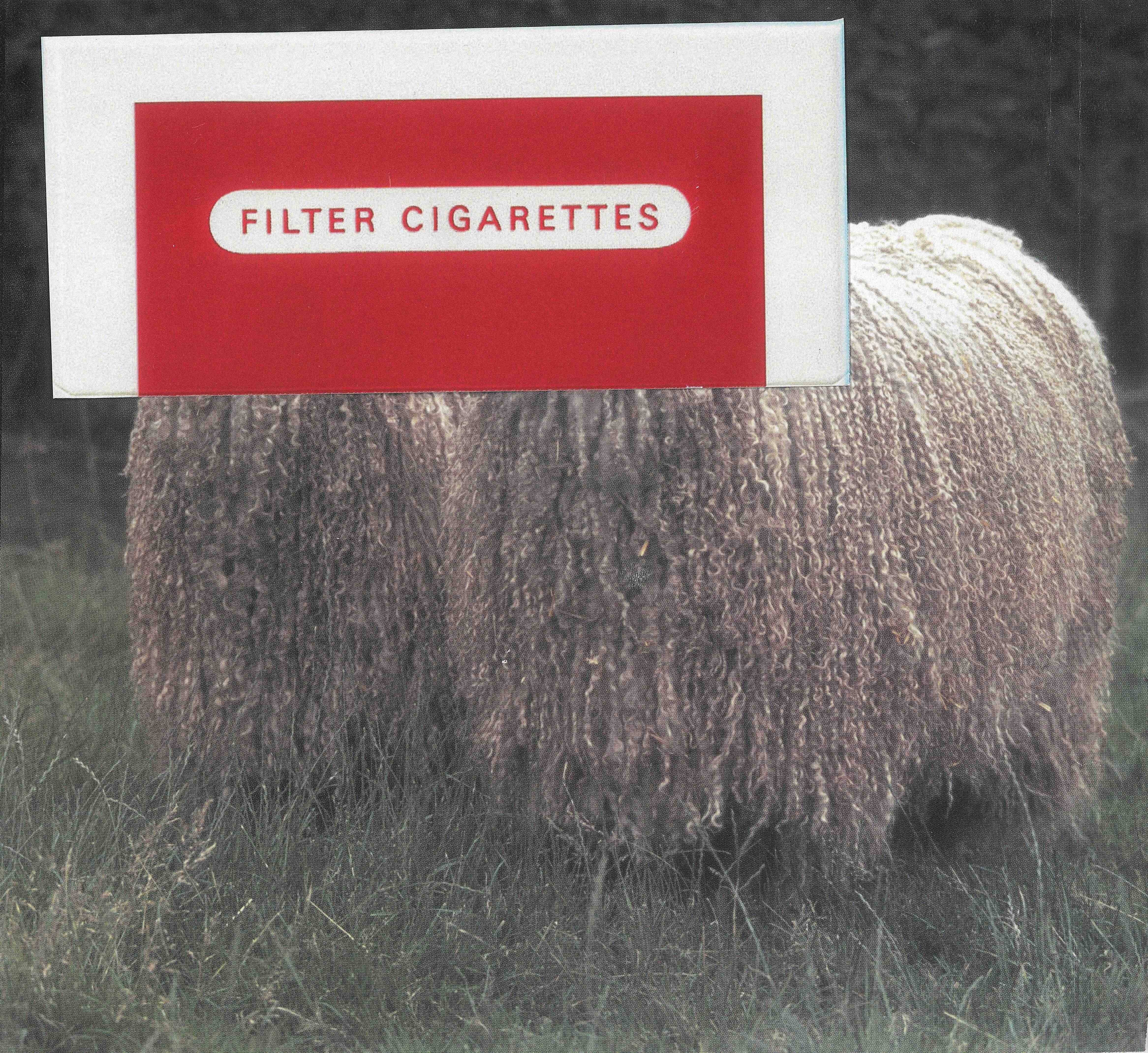 Filter Cigarettes, 2016, collage, 20 x 20 cm