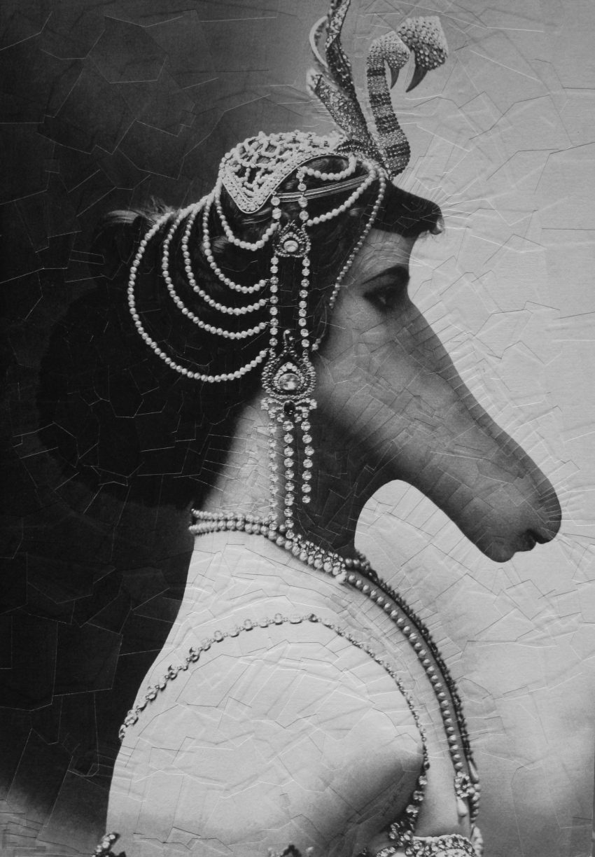 Mata Hari, 2011, 11.6 x 16.5 inches