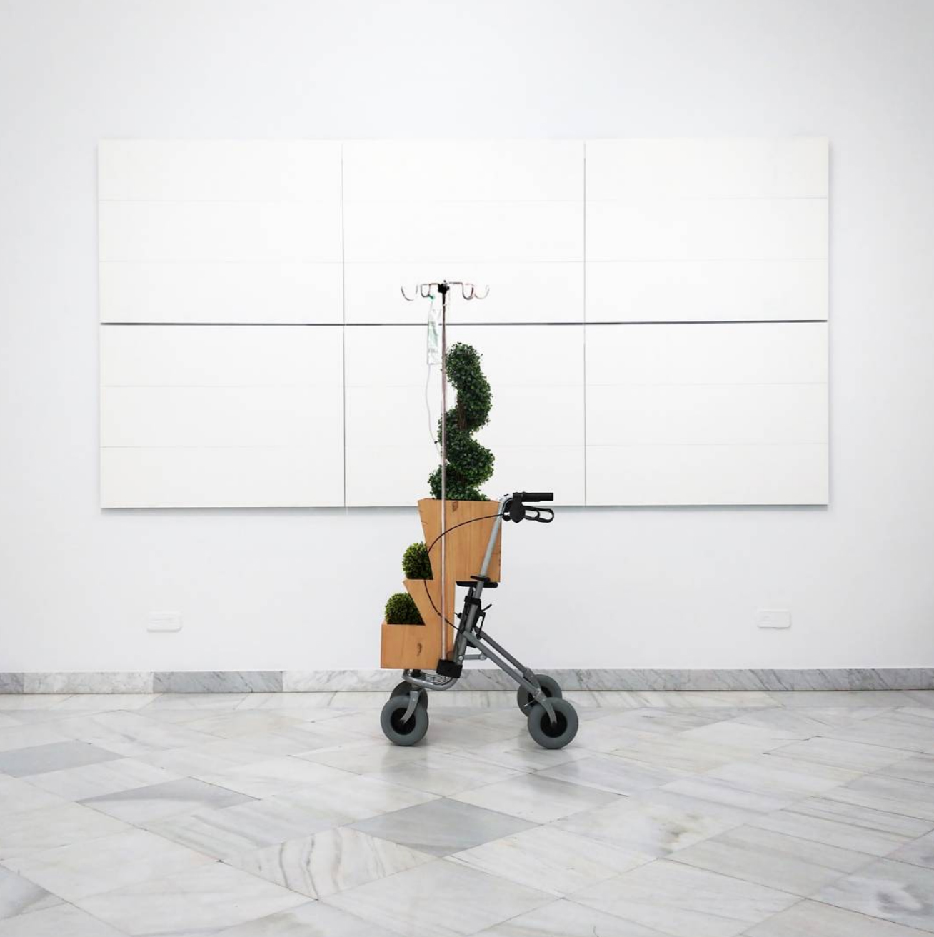 ︎ "Dispositivo reeducador de plantas" (2015)