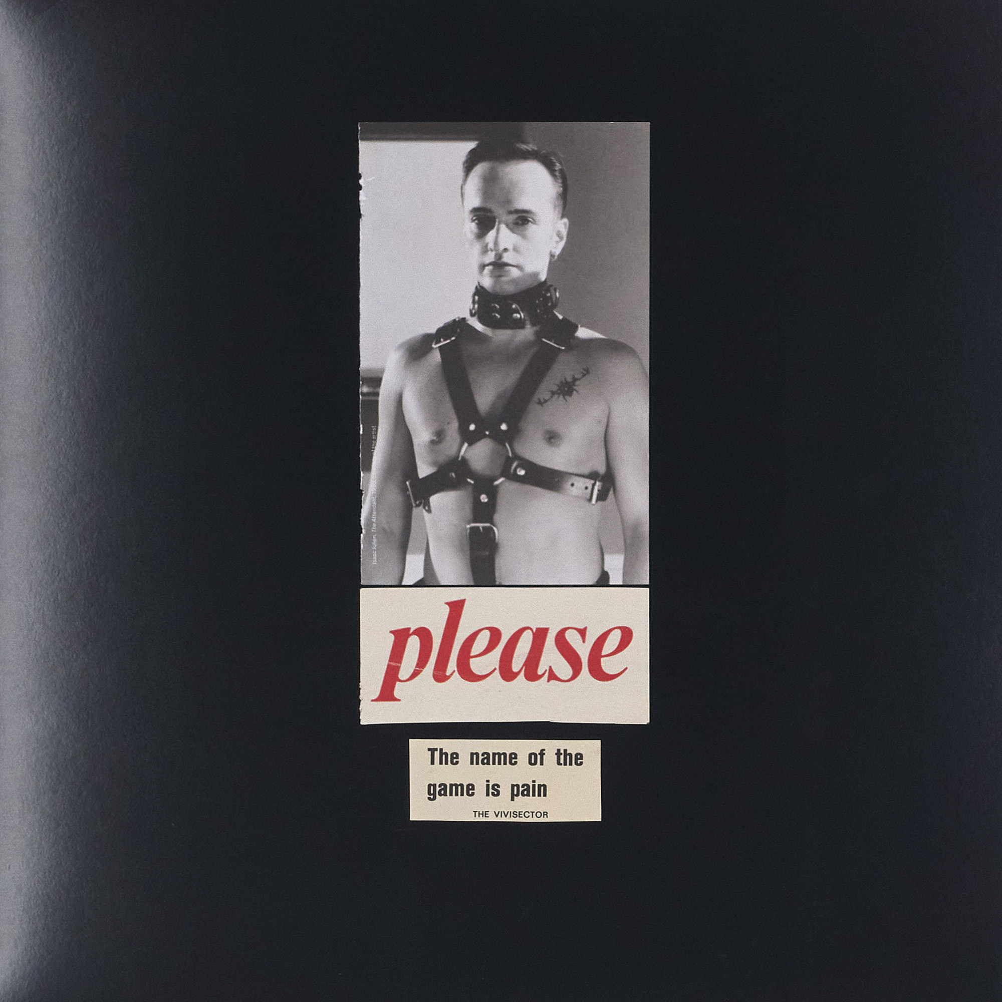 (2024) 12.25" x 12.25"