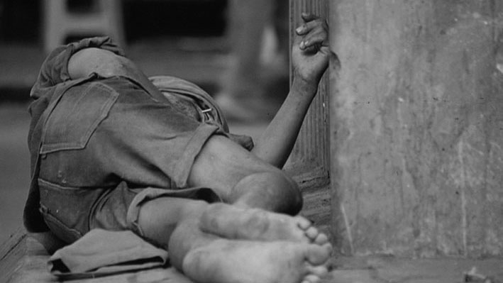 A ILHA DA BOA VIDADocumentary