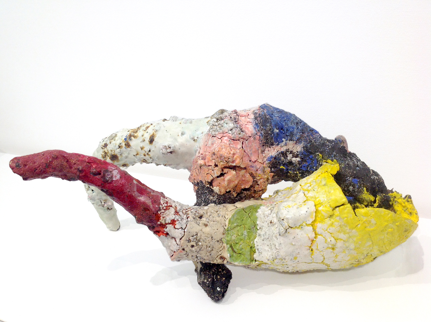 Aneta Regel, Multiorgan, 6.500 €