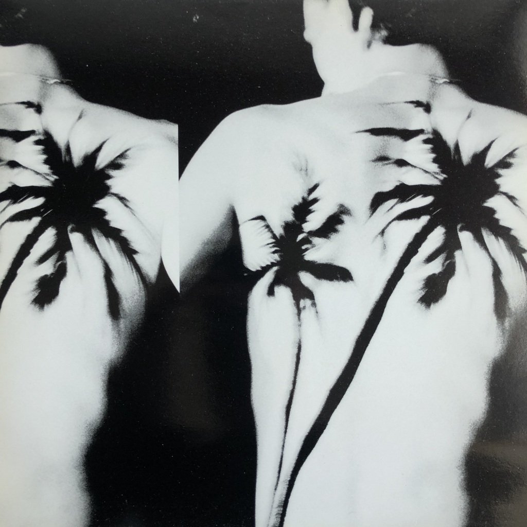 RAF SIMONS 1998ss black palms lookbook-