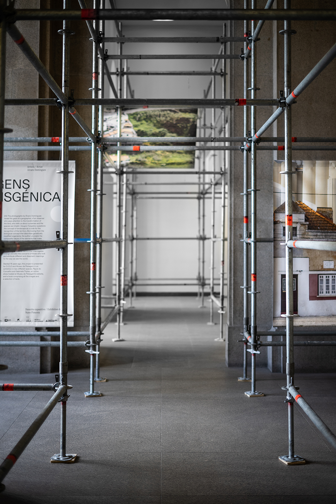 PAISAGENS TRANSGÉNICAS (2021) - Álvaro Domingues / Bienal'21 Fotografia do Porto - Câmara Municipal do Porto / Exhibition design