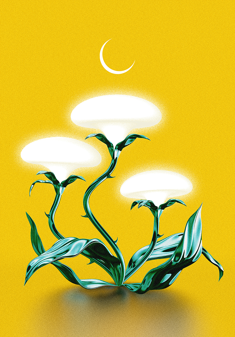 Personal Work | Radiant Plantlife