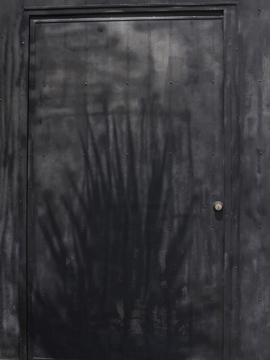 Screen Door (Telotype #098), Washington Boulevard, Culver City, August 2020.
