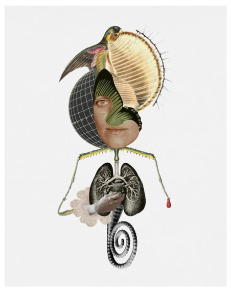 Guilherme Albuquerque