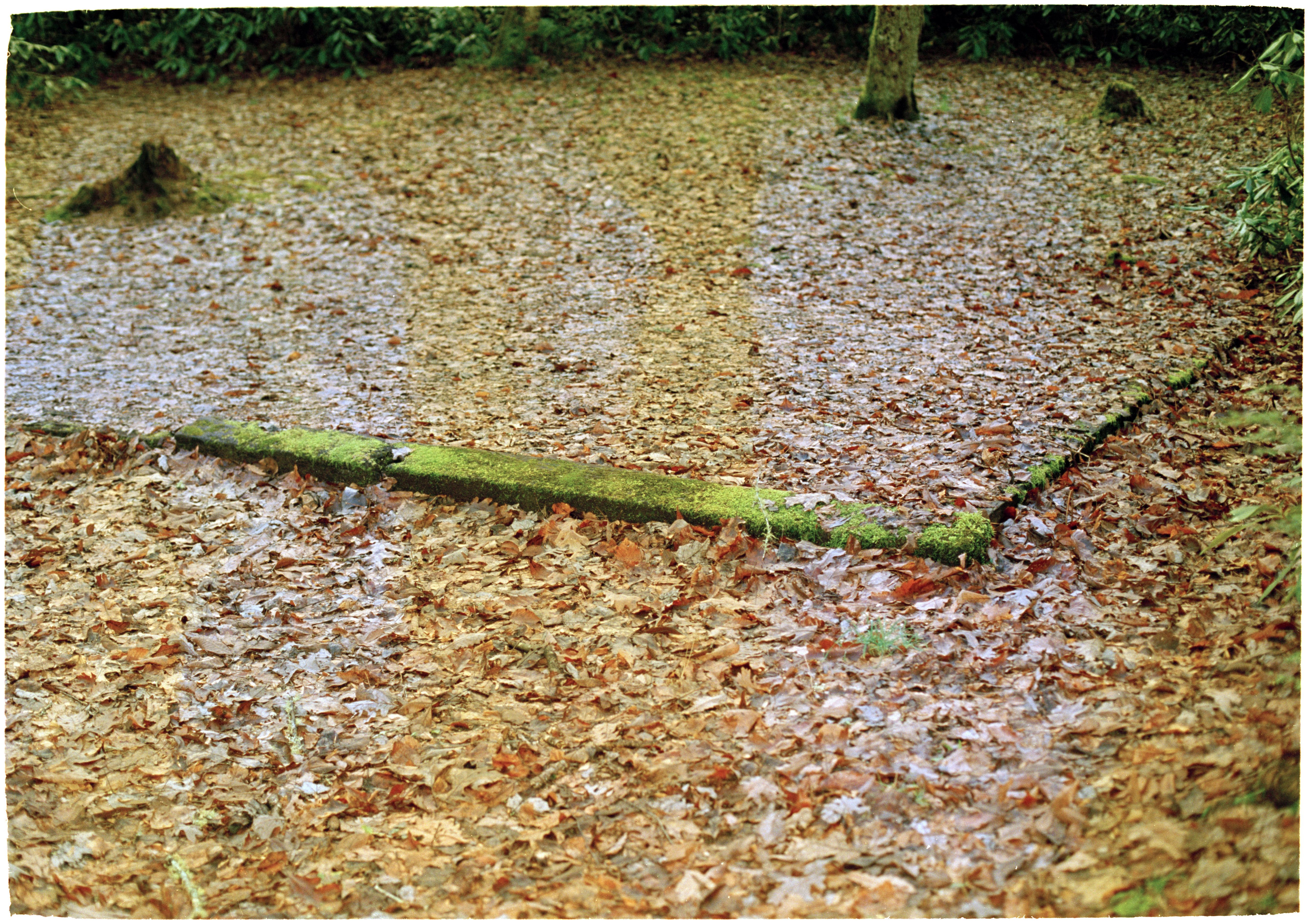 The Periodic Destruction and Recreation of the Universe, 201635mm color negative film73.806 x 51.944 in.187.47 x 131.94 cm