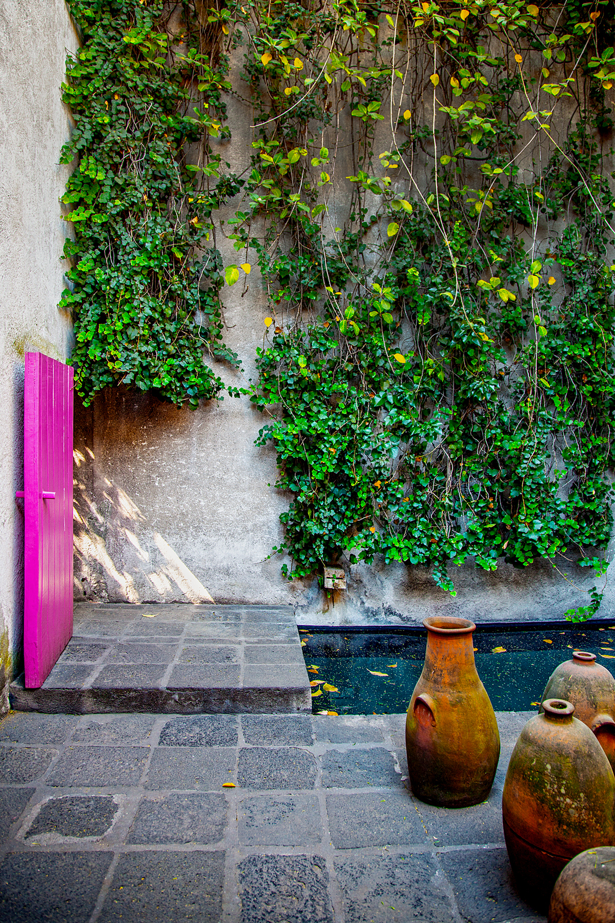 Luís Barragán, 2018_1/7**