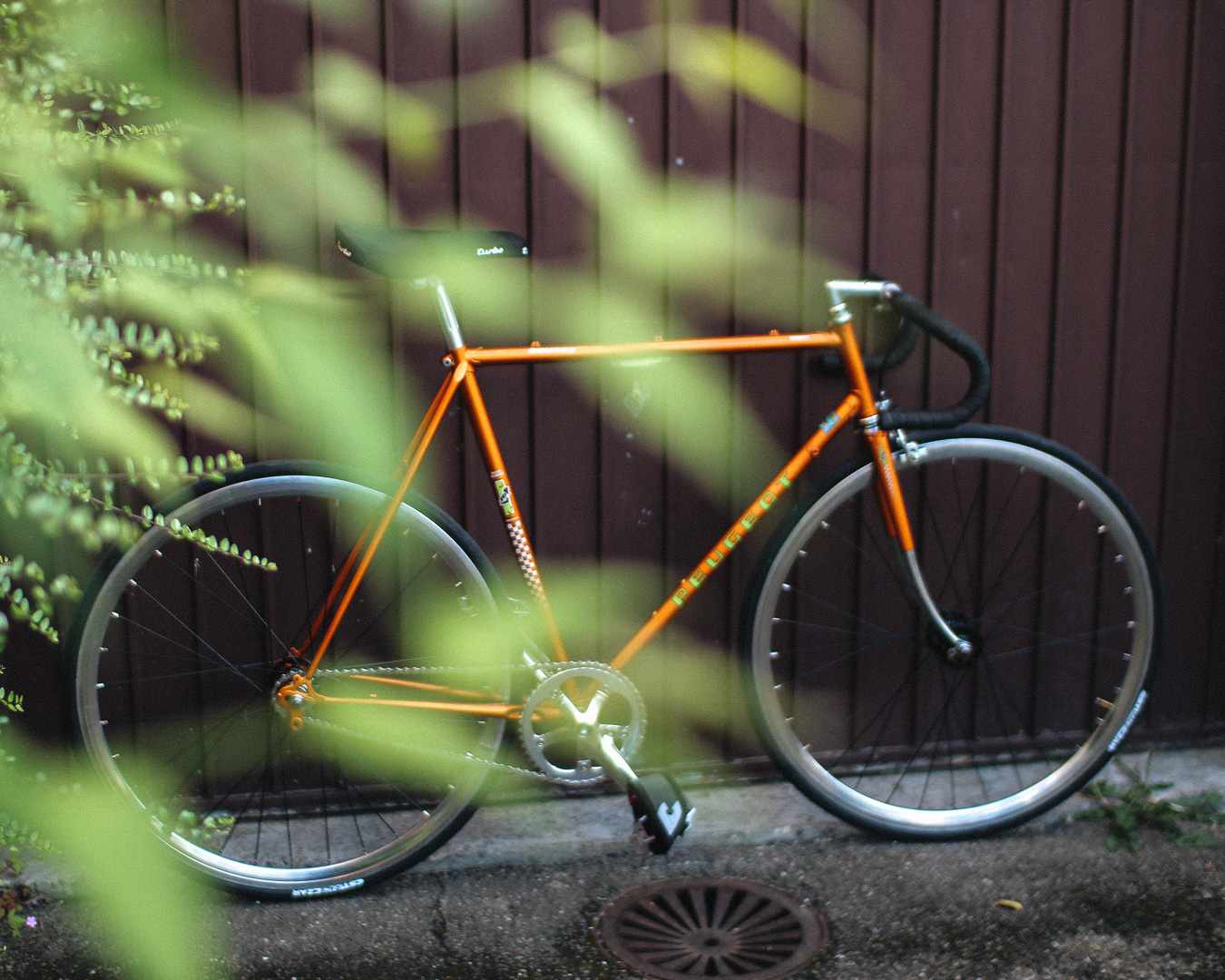 Peugeot fixed gear online