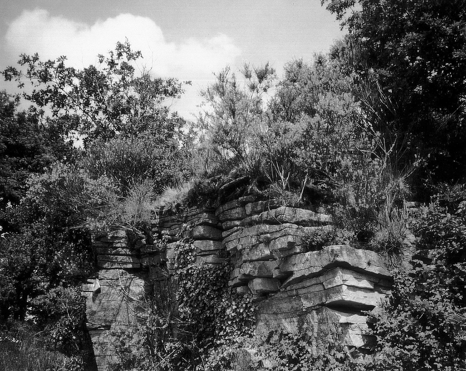 before being a builder, one is an observer