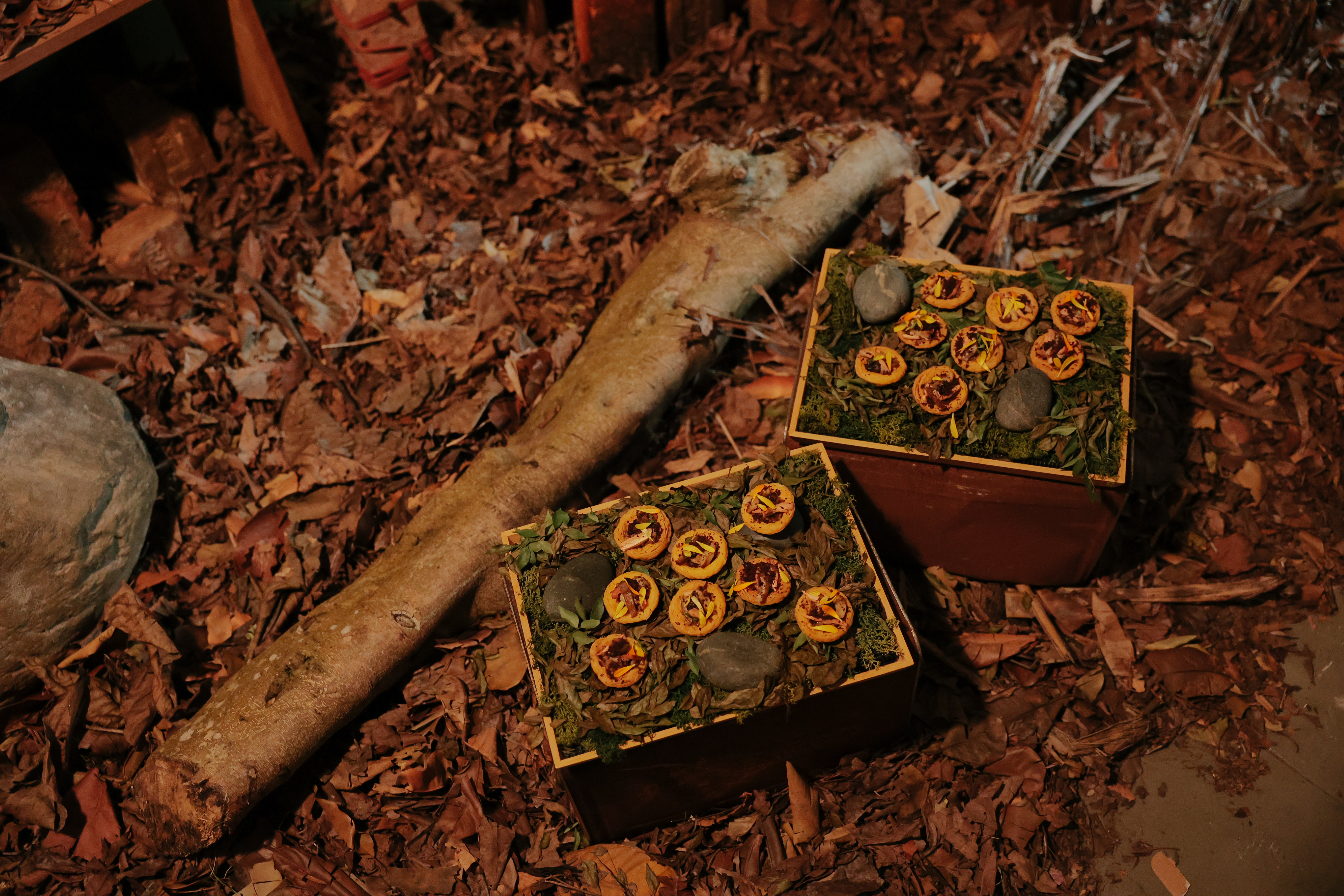 "The Owl in Daylight" by Robert Zhao x Law Jia-Jun (Province); Image credit: Axel Toh