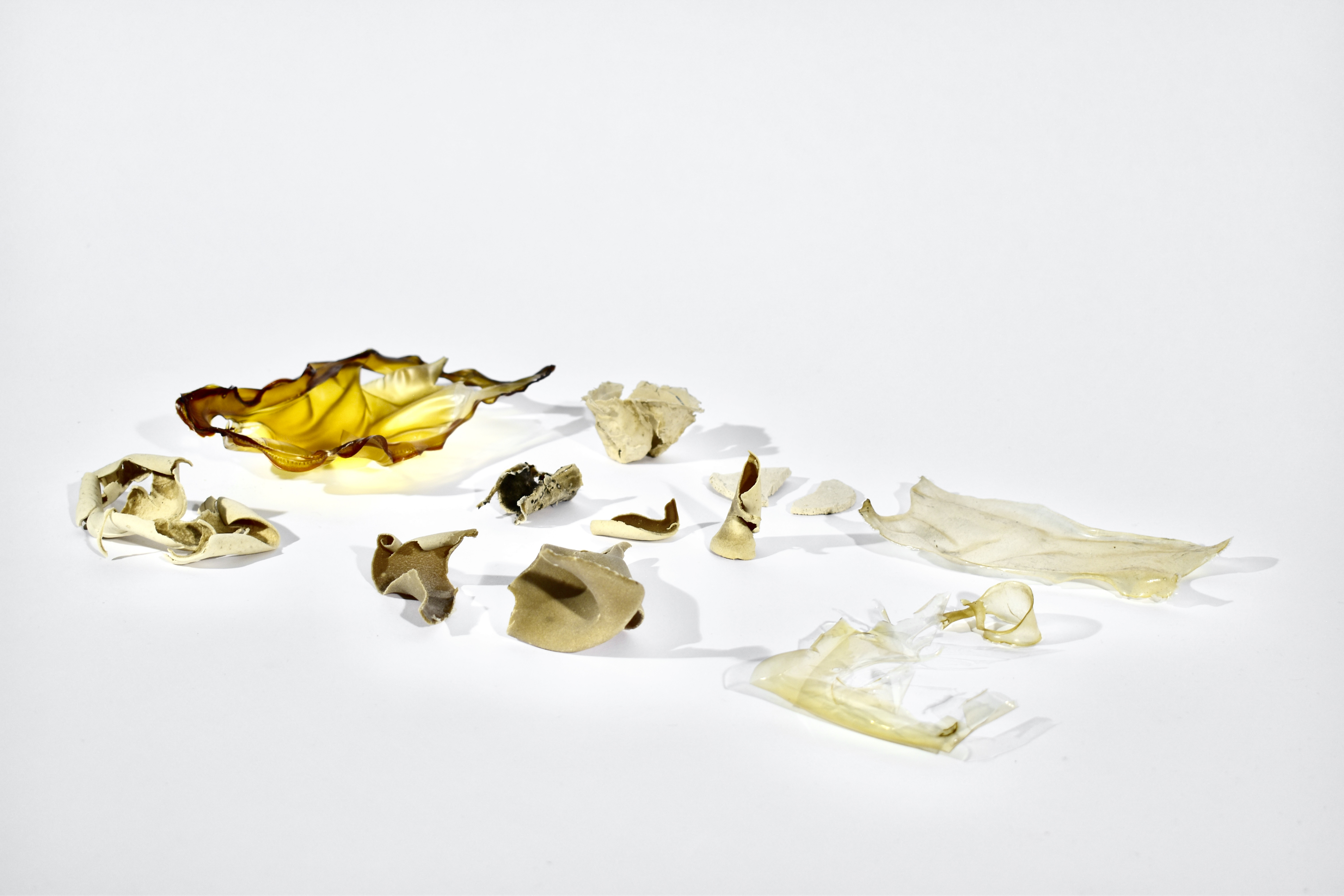 Chitosan Bioplastic polymer - Shrimp Shells
