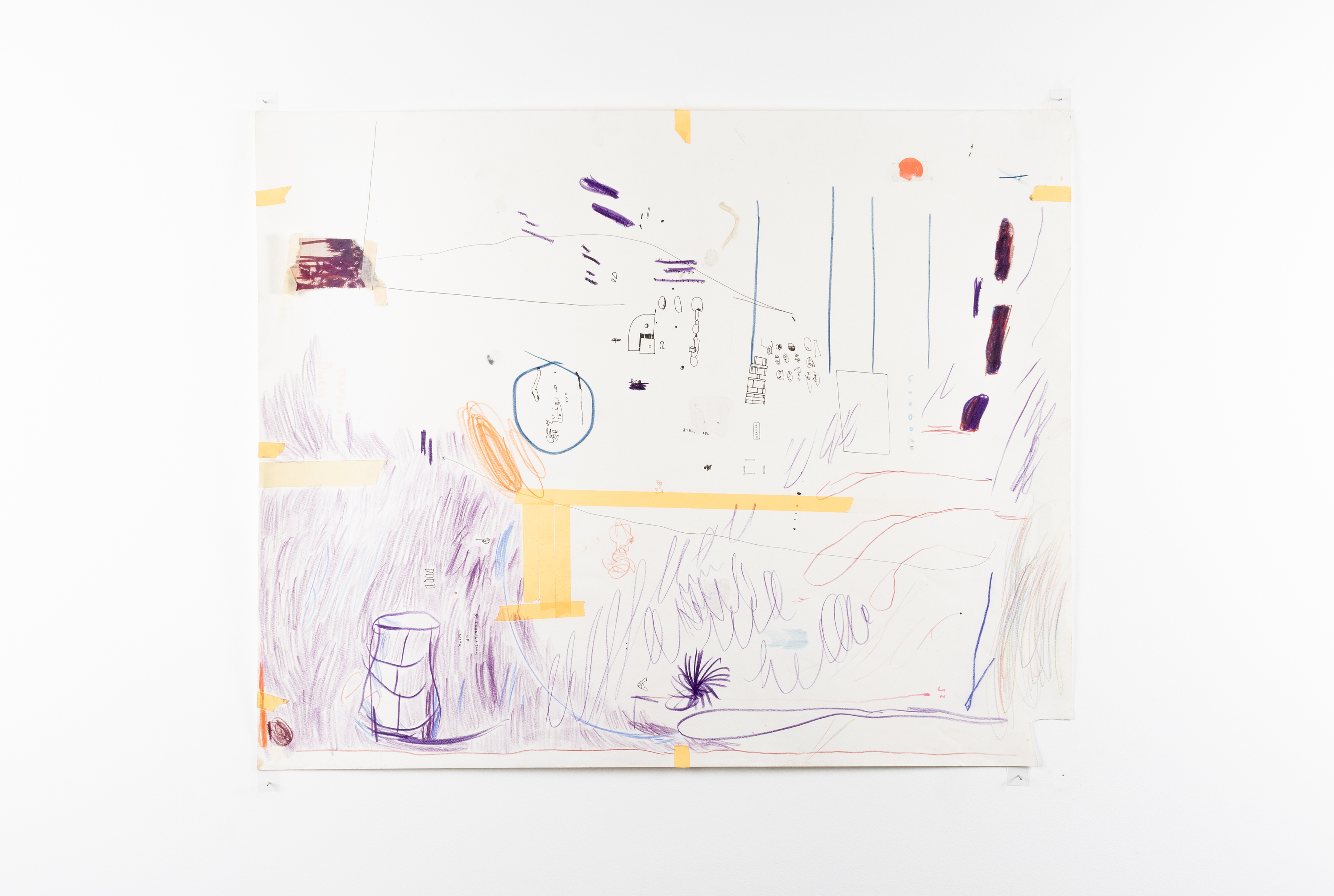 Wooly aphid, 2023, Coloured pencil on paper, 78.5 x 63.3 cm