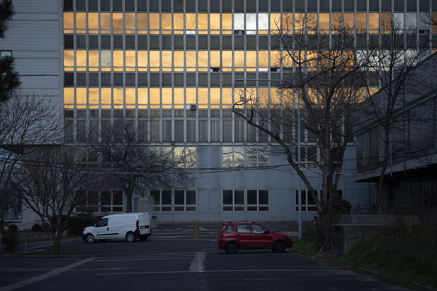 Untitled, 2022 Birthday Greetings