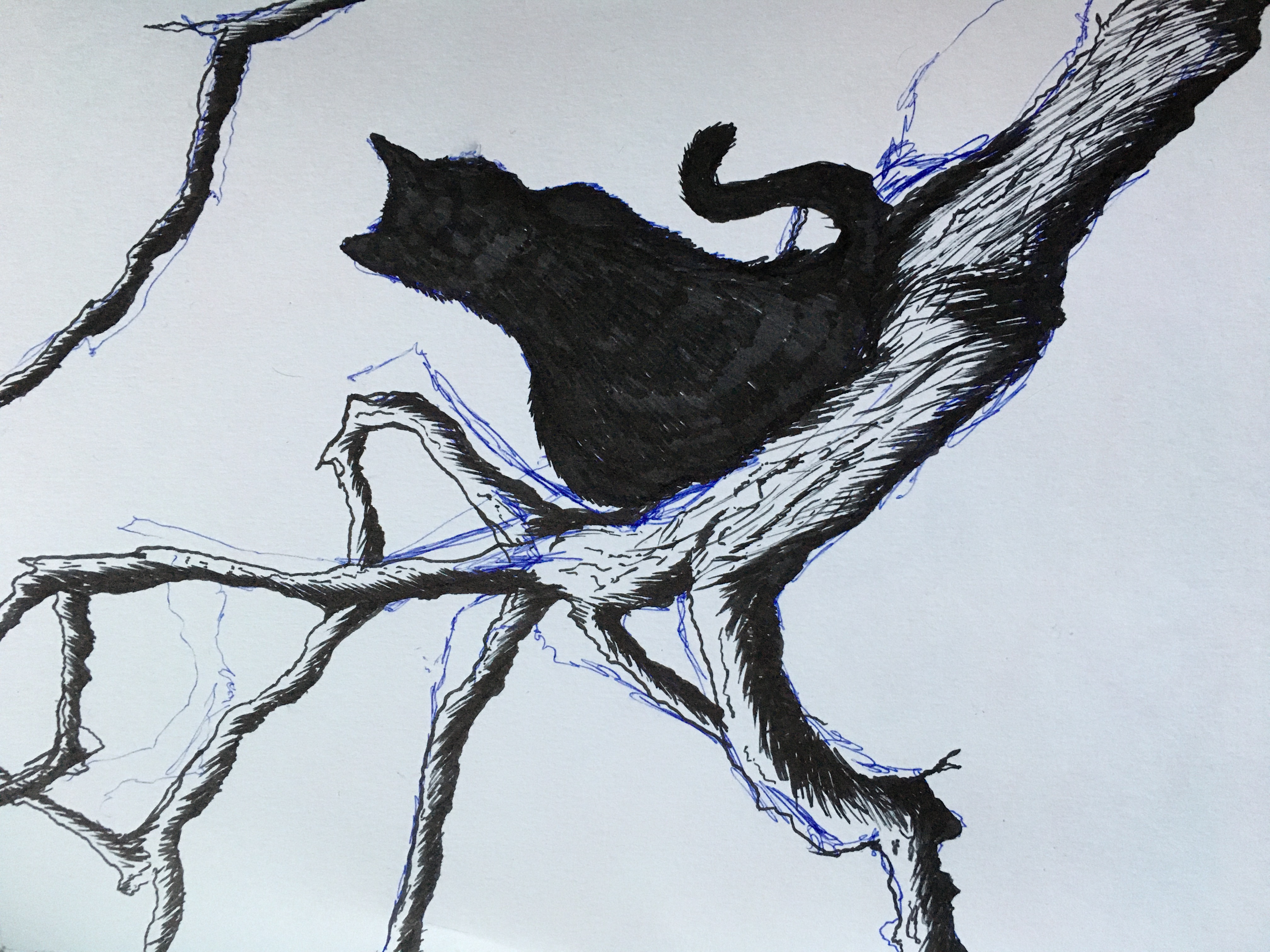 Day 2: Witch’s Familiar // All Hallow’s Art