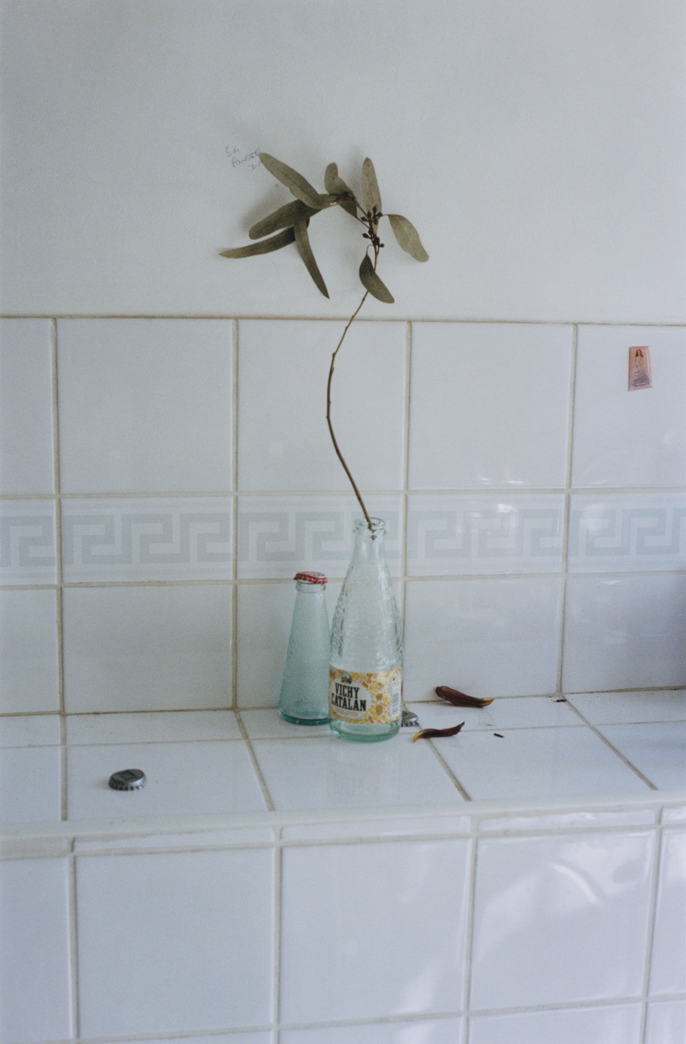 Index - Self Care Issue. (7/10)