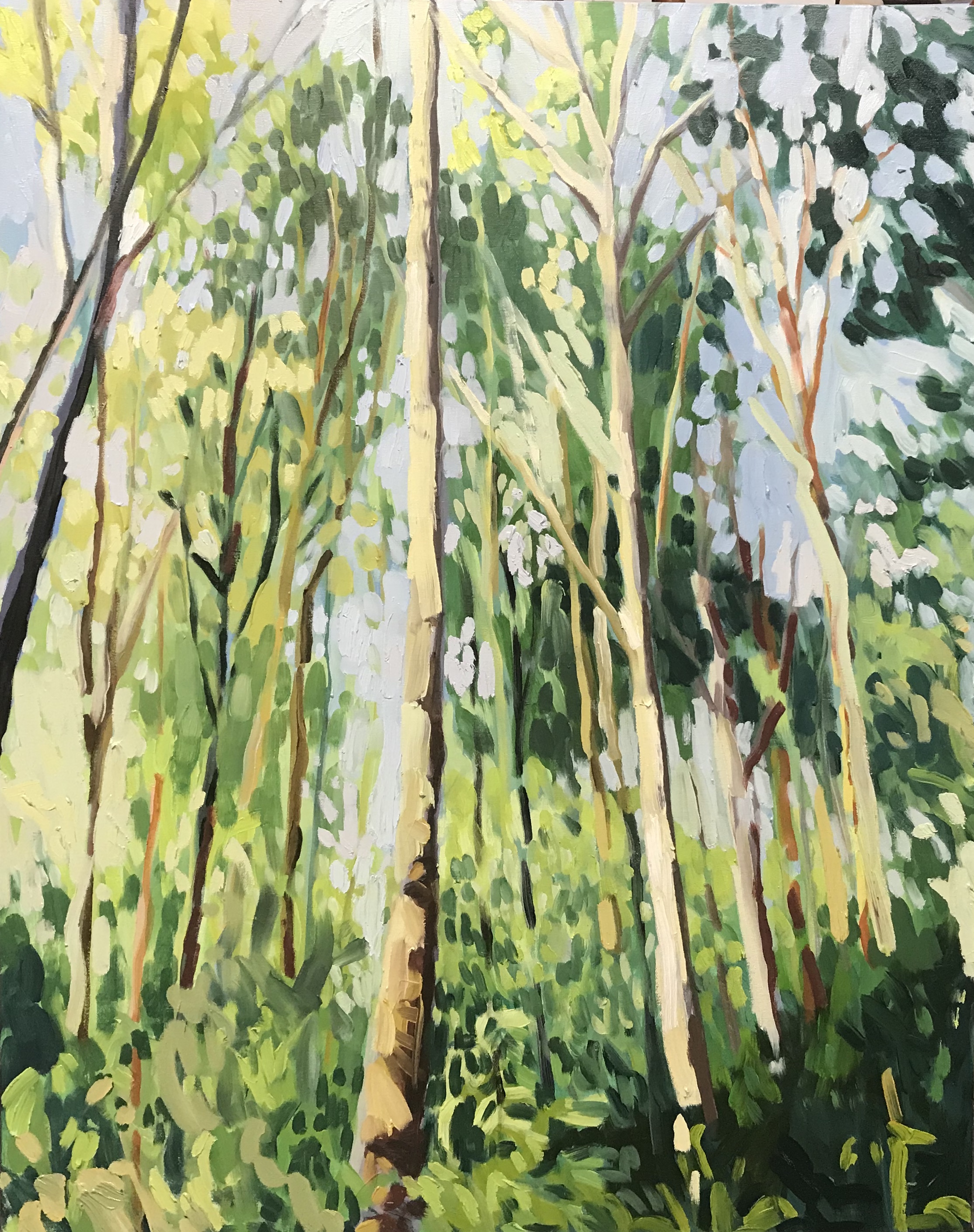 Mid-morning at Iona Oil on canvas. 24x30. 2019