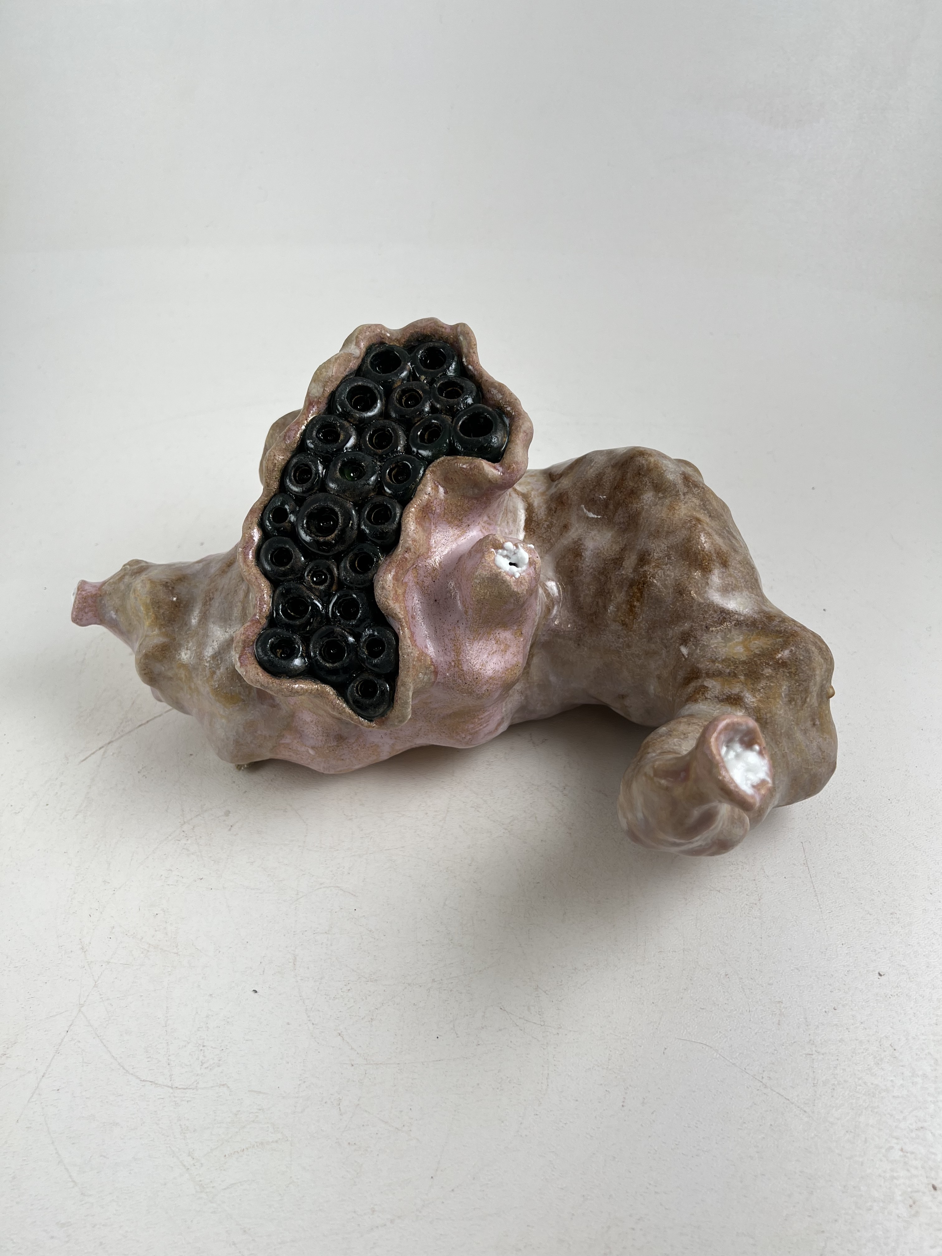 Organismus 4, stoneware, glaze, 4x6x6 inches, 2023