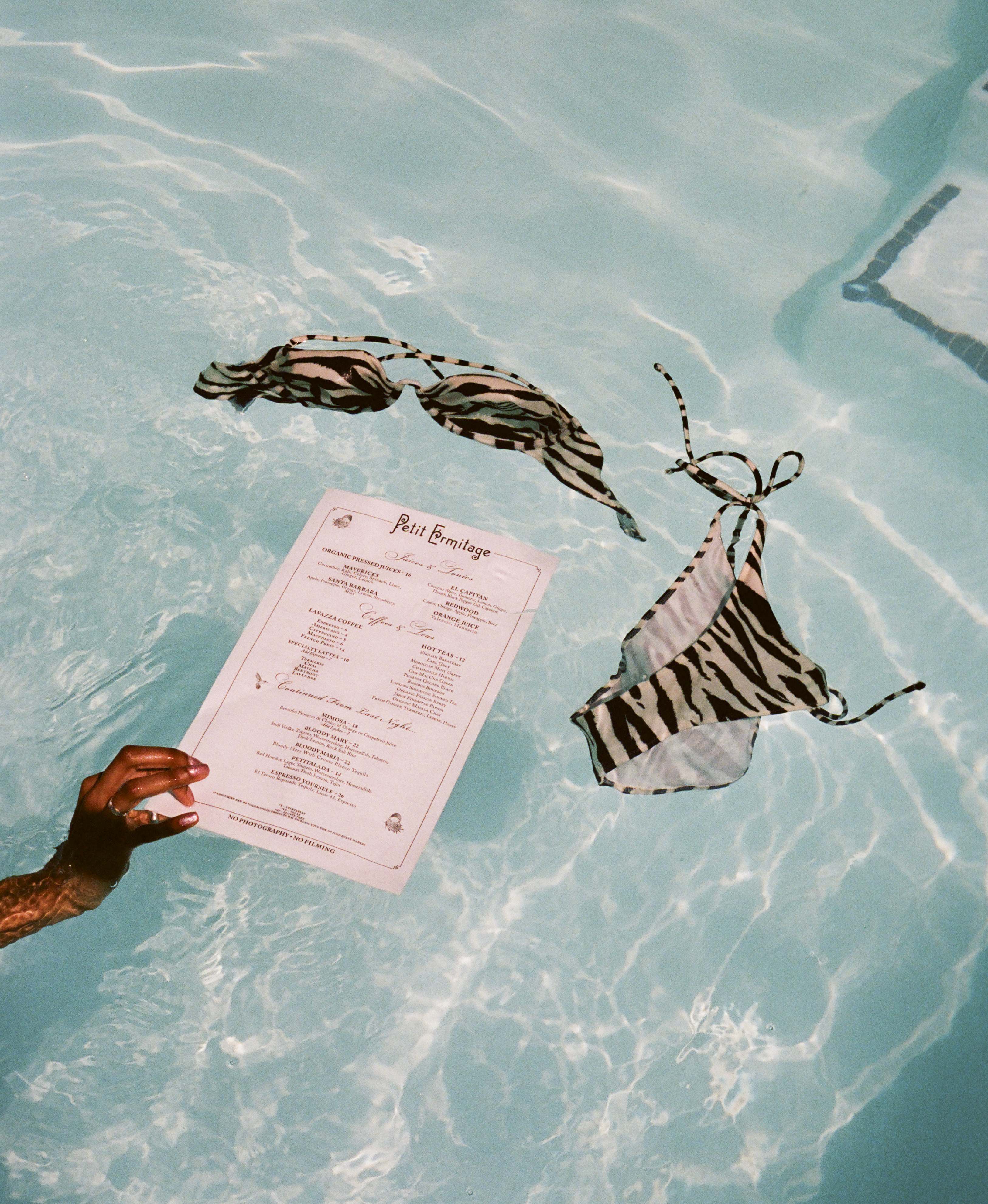 PETIT ERMITAGE HOTEL