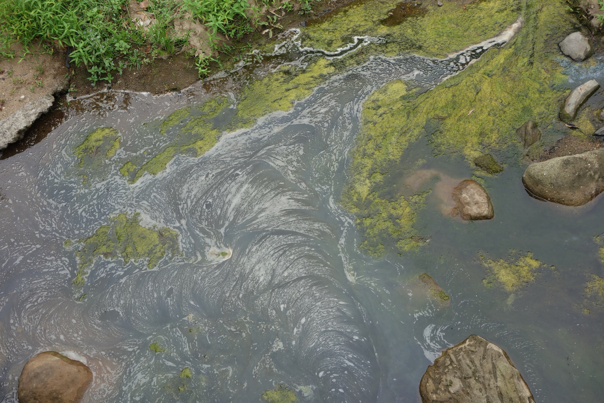 Flow, Byarong Creek