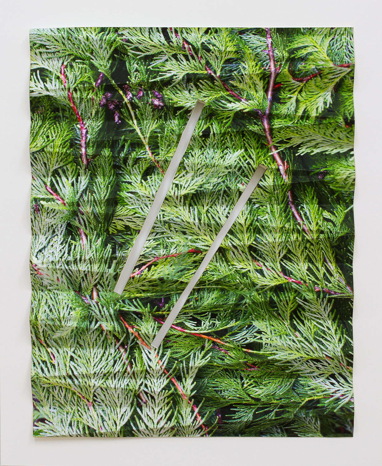 Letha Wilson, Evergreen Fold (Two Slots), 2018, archival inkjet prints, 22.5 x 18.5 x 2 inches