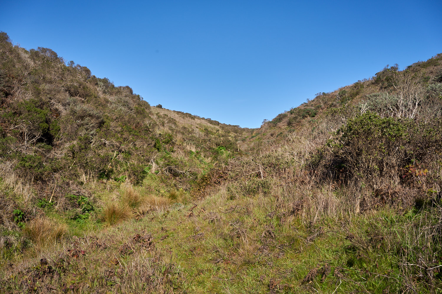 2019 Point Reyes California