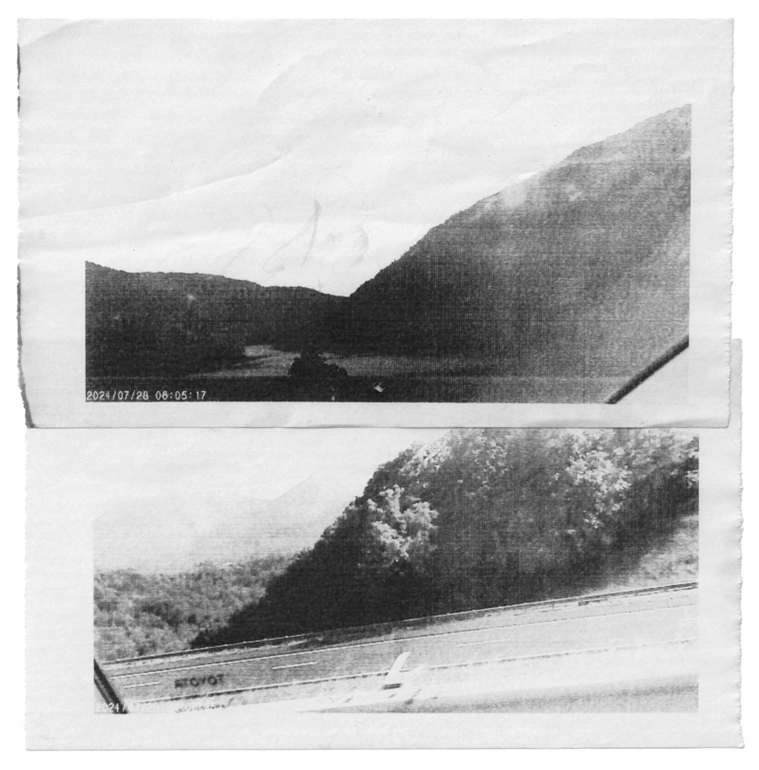 Virginia's Disappearance, receipt paper camera photographs