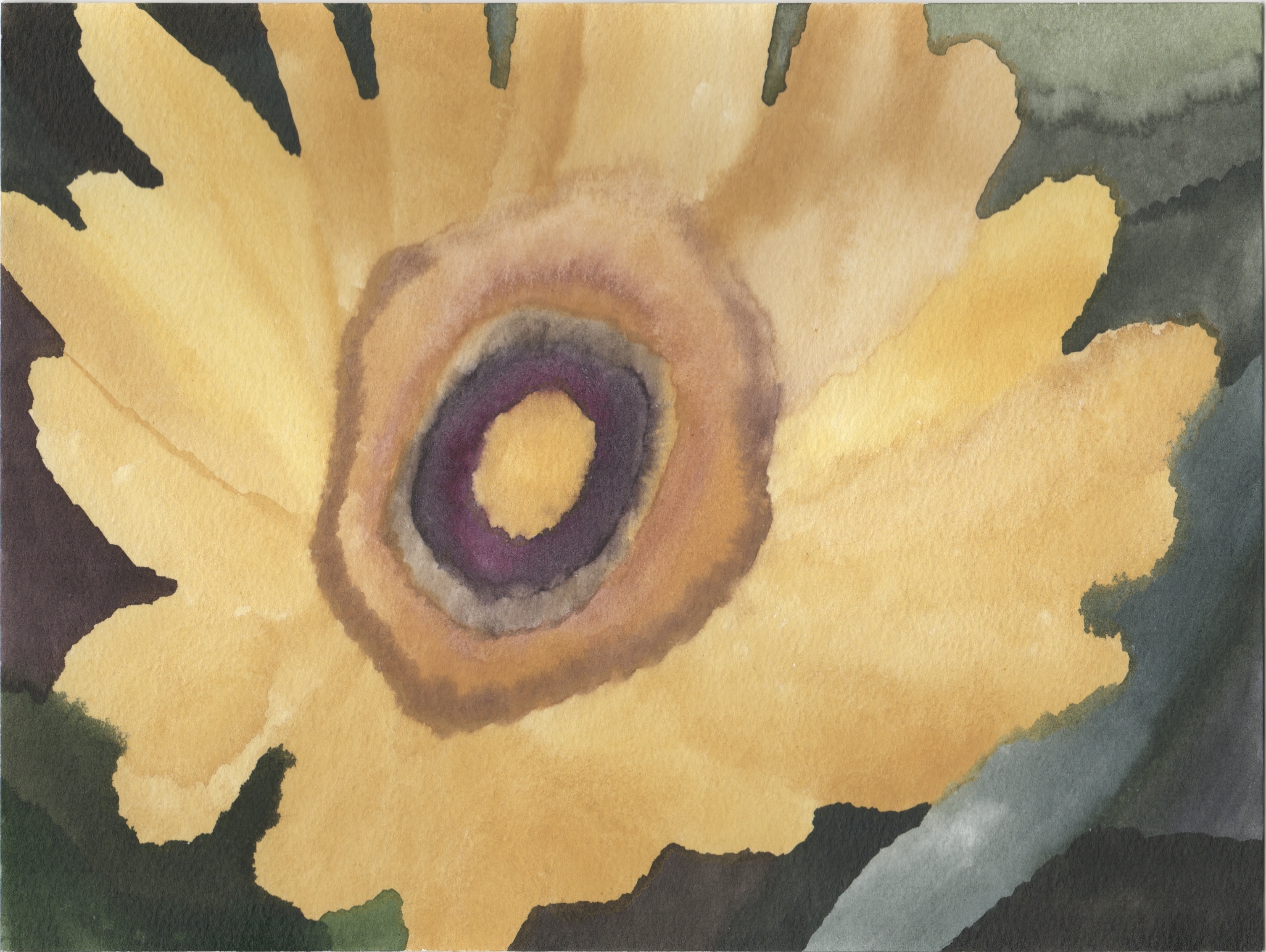 Yellow flower, watercolour on paper