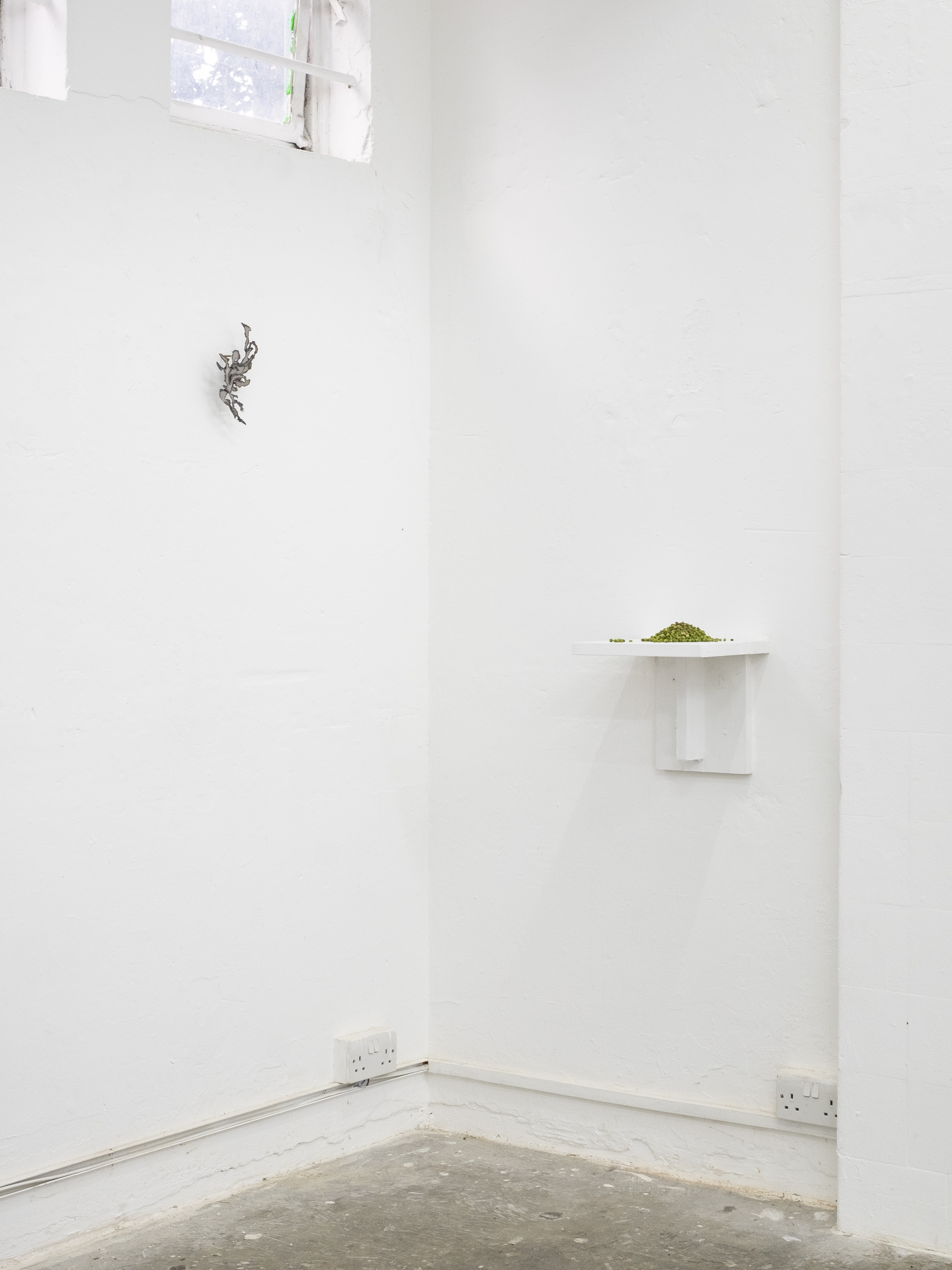 Installation view. Jasmine Pajdak [photo credit: Filet Space]