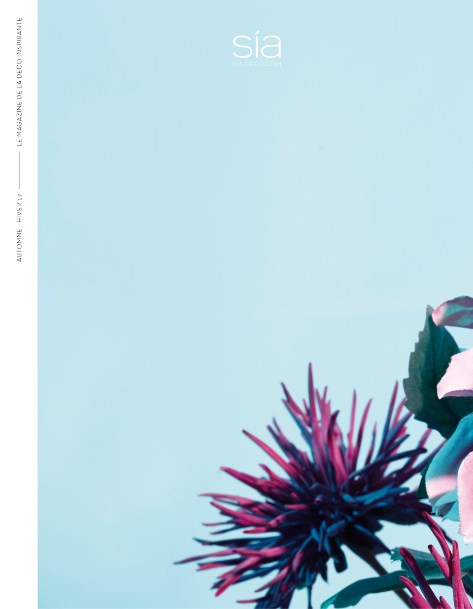 Sia Angele Noel Portfolio