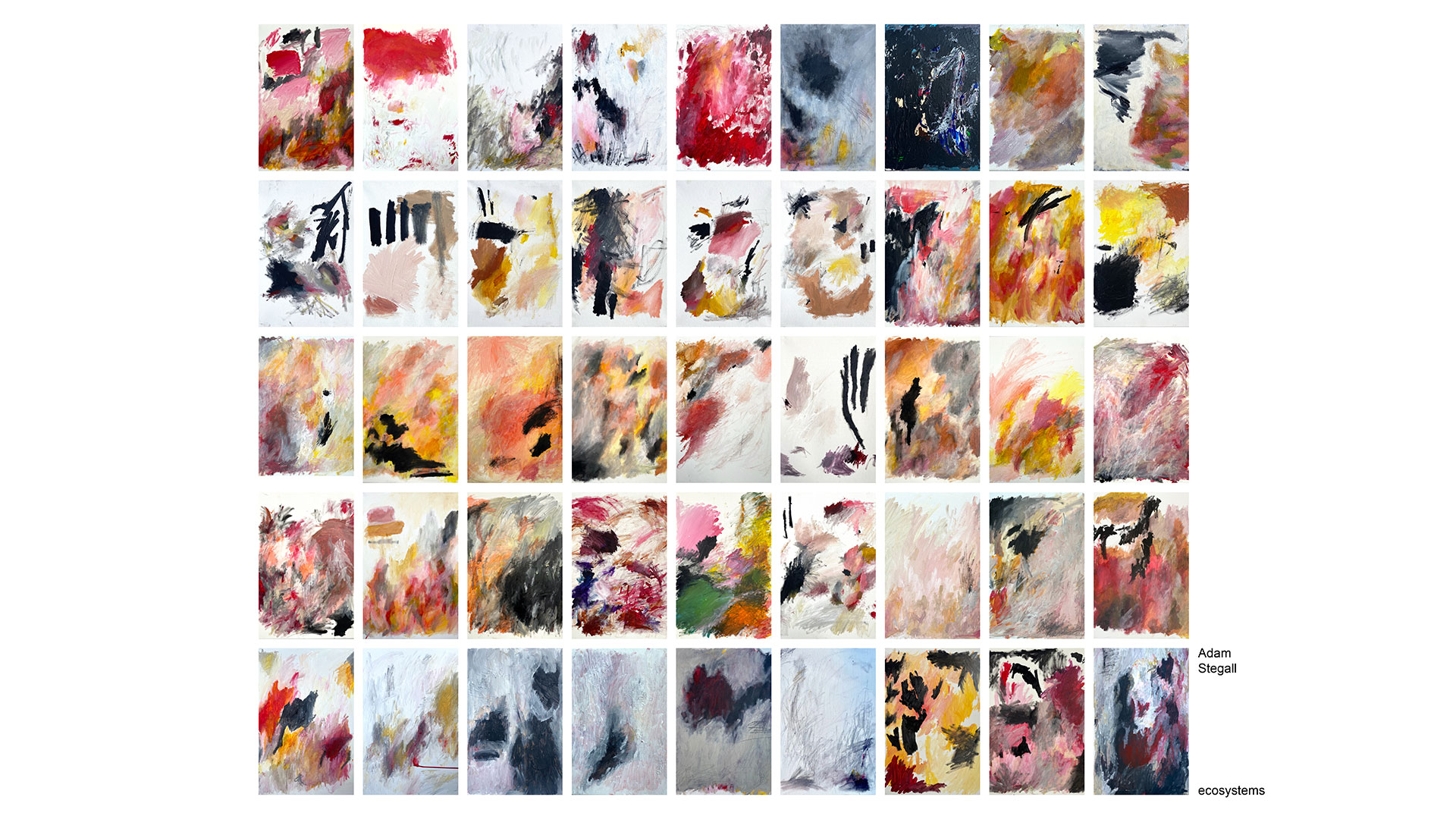 A grid of abstract-expressionist paintings on a white background. The paintings are made up of strokes of color on a canvas with no representational forms. Underneath the grid, my name and title of my work read, “Adam Stegall . . . ecosystems.”