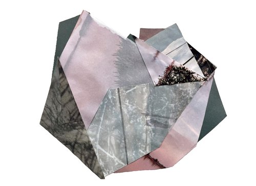 This Crumpled Flower; collaged photographs on grey drawing paper, size 8"x10"
