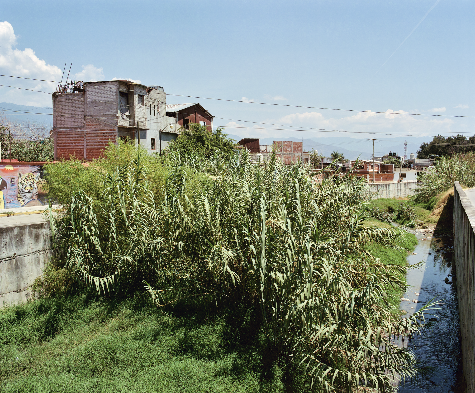 06/35, Untitled 2022