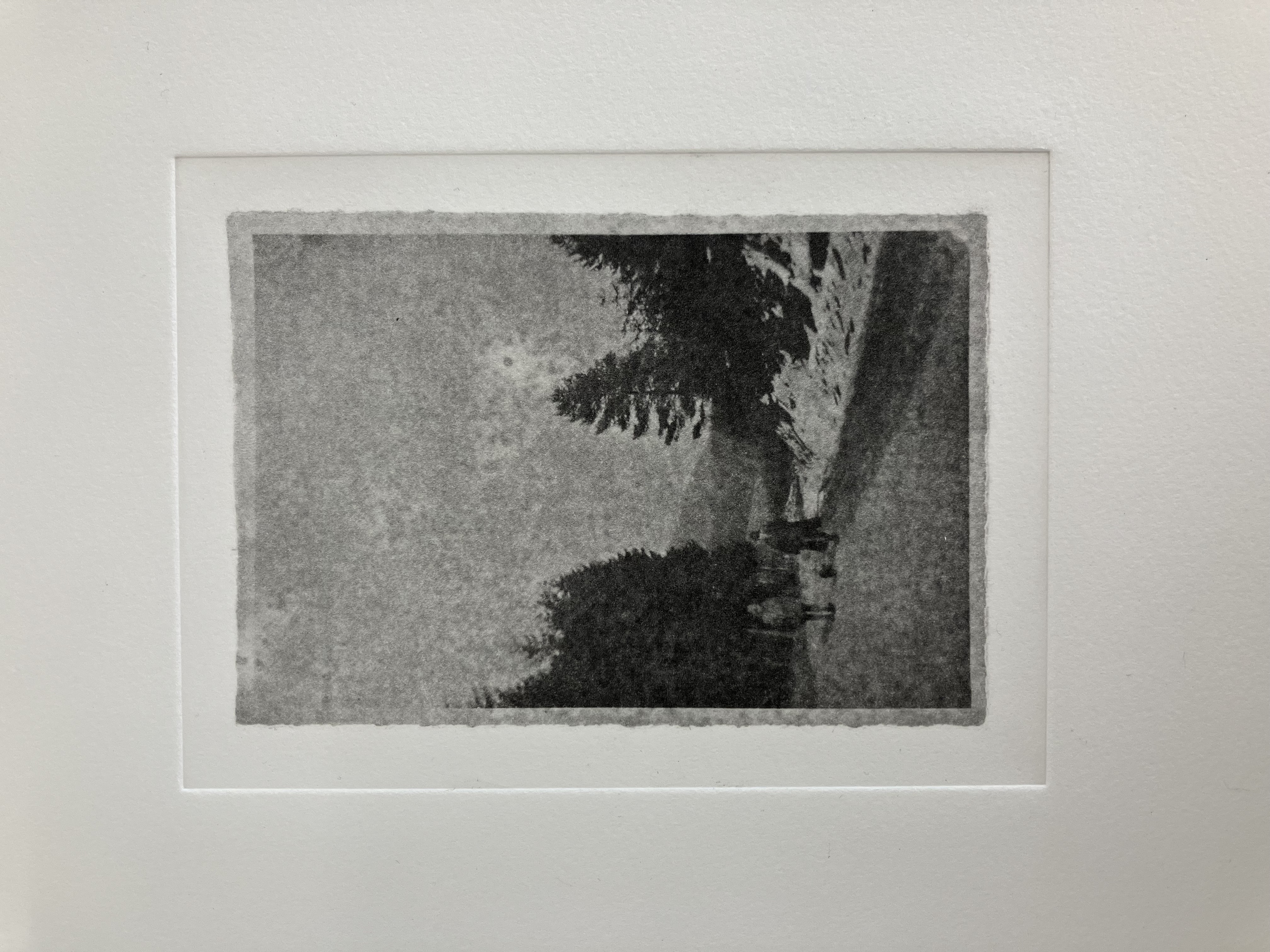 Jagd in Polen, Photopolymer