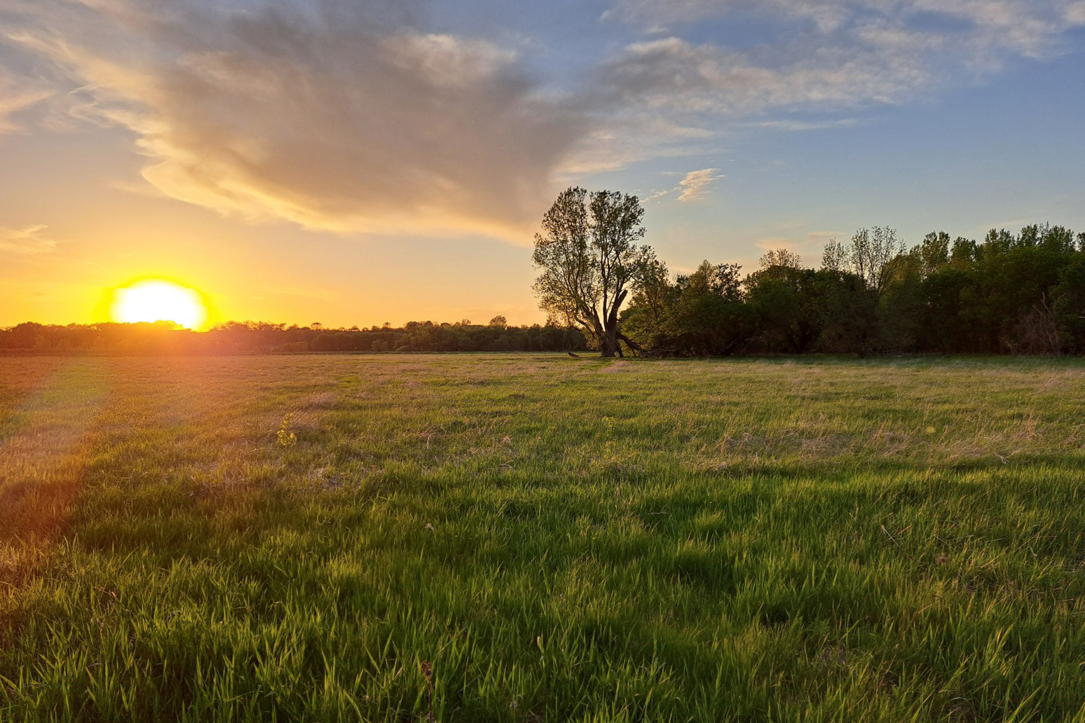 Homeowners & Stewards