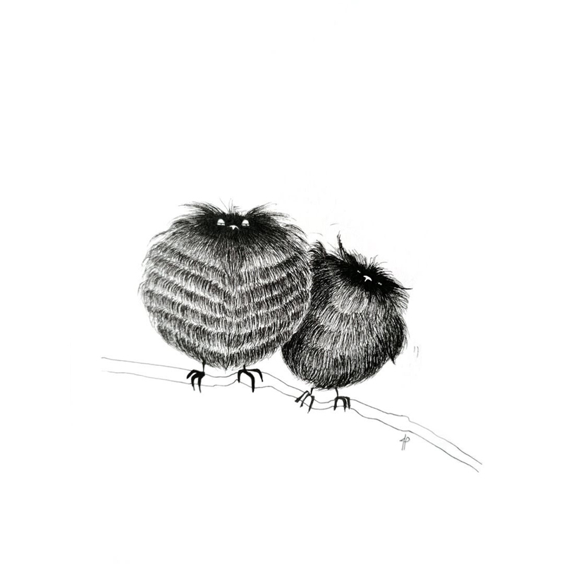Forest owlets, India