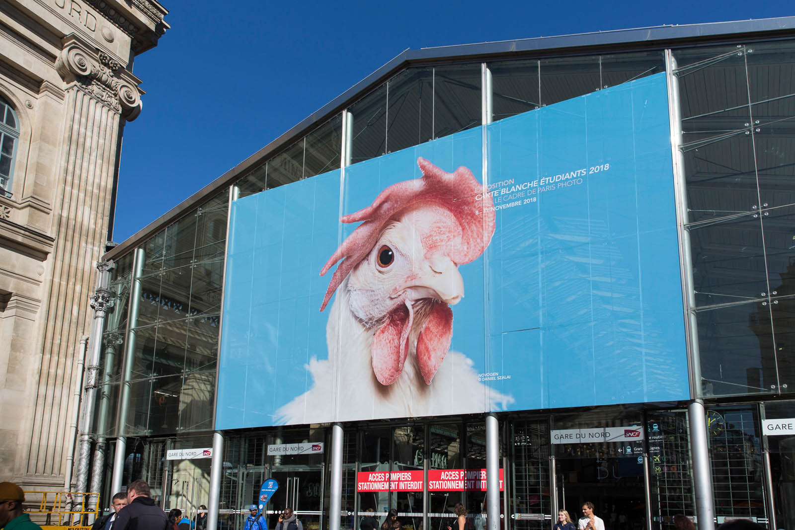 Photo: Marine Ferrante