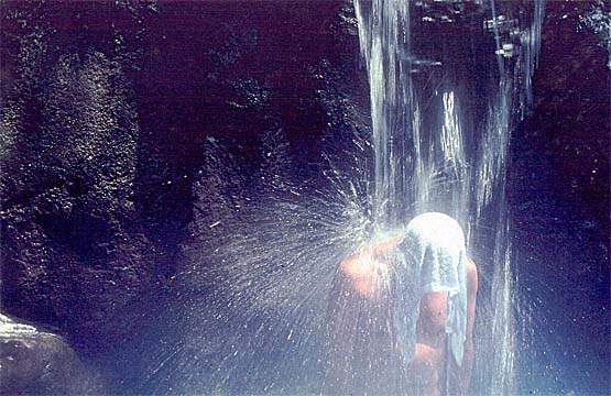 Puchner, Willy. Photograph. n.d.