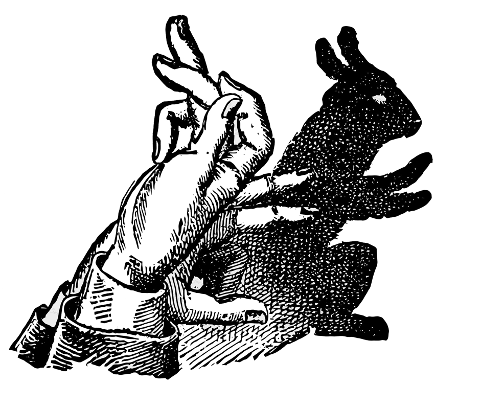 Rabbits icon