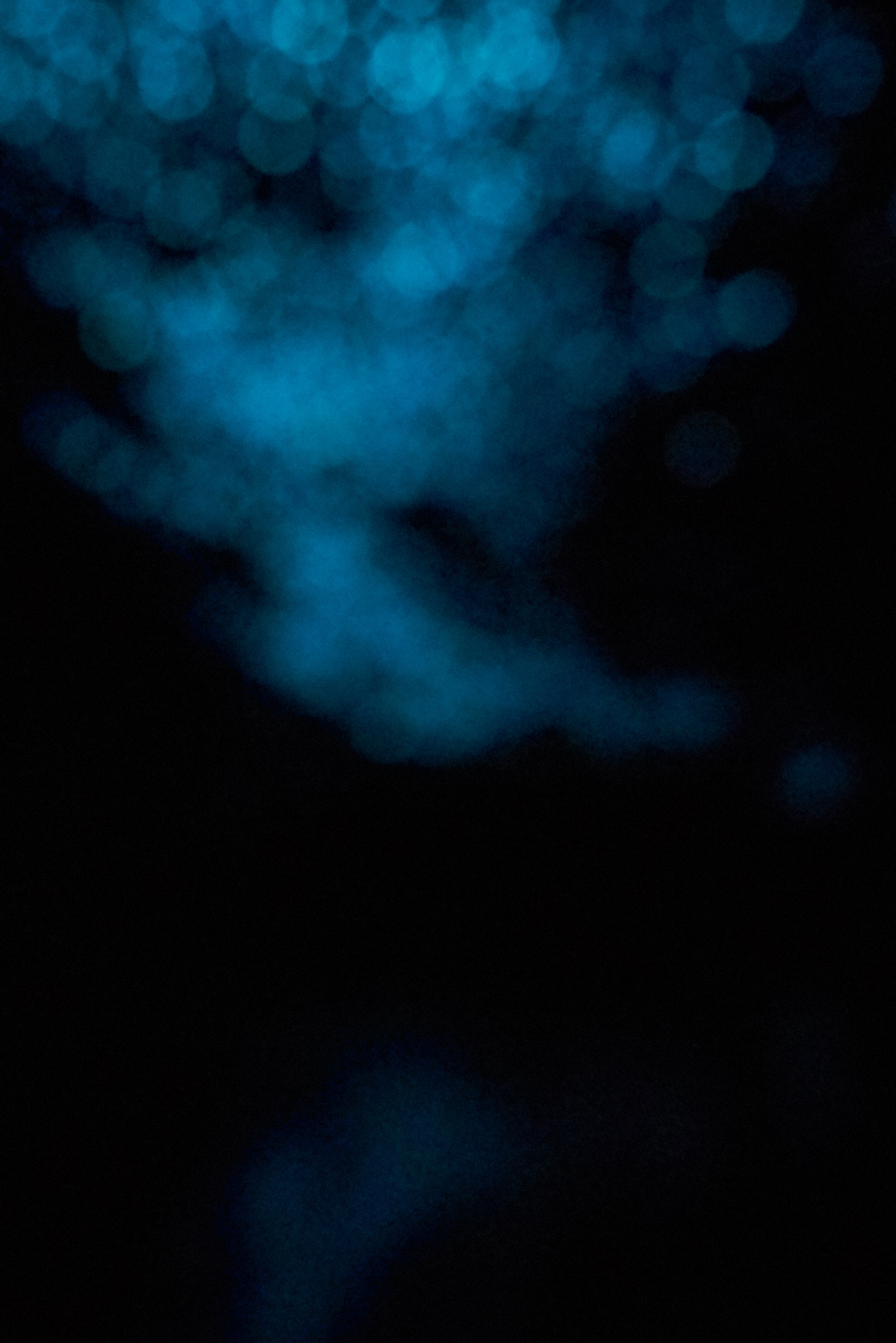 A strange, subterranean night skyscape created by throngs of bioluminescent glowworms (Arachnocampa Luminosa) on the ceiling of river caves in New Zealand. To enter a cave itself is to experience the peripheral—the liminality between earth and sky; interior and exterior; light and dark. It’s in this interstitial space where glowworms shine. Residing just beyond the boundary where sunlight fades into blackness, these insects begin to glow immediately upon hatching all the way through their “imago”—also called the imaginal stage—where they reach full maturity. The stunning starscapes they create are as alluring as they are deadly. During their larval stage, each glowworm spins up to 30 silk threads, each punctuated by small sticky droplets, which dangle downward from the cave ceiling. As other insects instinctually ascend to the ‘stars’, they become ensnared. The glowworms then reel in their prey, devouring them alive. As we aren’t meant to see in the dark, these images are made through long-term exposure without a tripod—embracing the disorientation and lack of focus we experience as we fumble through the darkness.